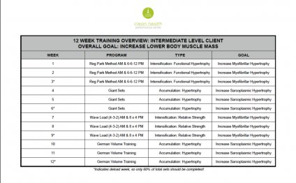 12 Week Overview Legs