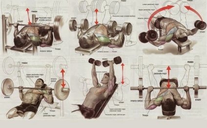 Best Chest Workouts for Mass