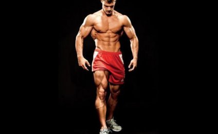 The Ultimate Leg-Training