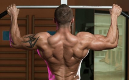 Full body Weightlifting workout