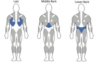 Back Exercises for Men