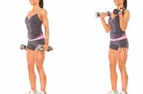 Bicep HAmmercurls Bicep HAmmercurls