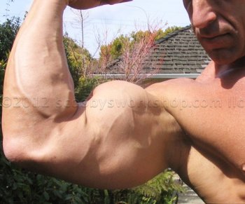 bodybuilder triceps bodybuilder triceps