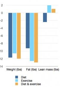 Effects of diet, exercise, and diet + exercise on muscle growth and weight/fat loss