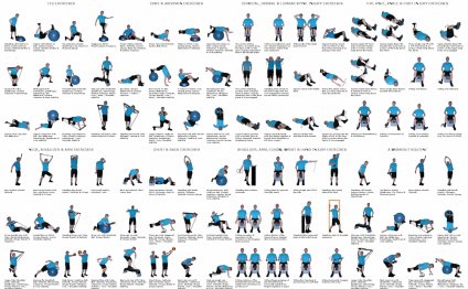 Fitness Workout Routines