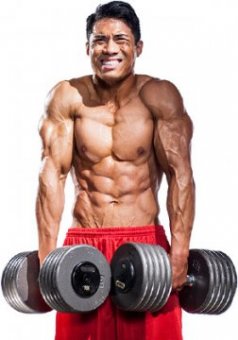 It's a good thing for a bodybuilder to incur limited muscle damage.