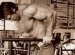 Arnold Schwarzenegger Chest Workout video
