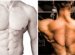 Chest and Back Workouts