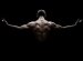 Gym Workouts for Men