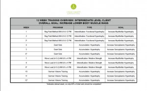 12 week mass Building Workout