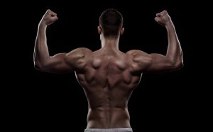Bodybuilding workout program