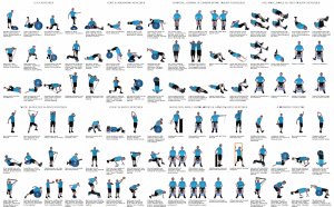 Fitness Workout Routines