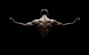 Gym Workouts for Men