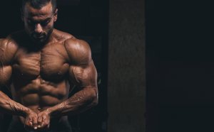 Mass Building Workout Routines