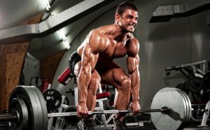 Muscle mass Workout