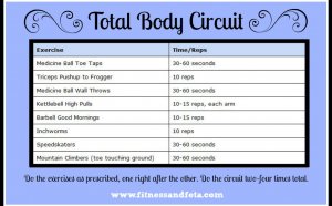 Total body Circuit workout
