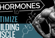 The 6 Hormones You Need to Optimize to Build Muscle