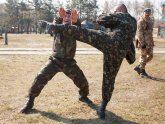 Army Workouts