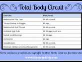 Total body Circuit workout