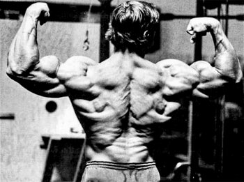 When he began competing at the elite level, Arnold's back wasn't as imposing as his mammoth chest and arms. By employing basic, multi-joint movements to target all areas of his back, he was able to bring it up.