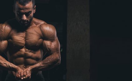 Mass Building Workout Routines